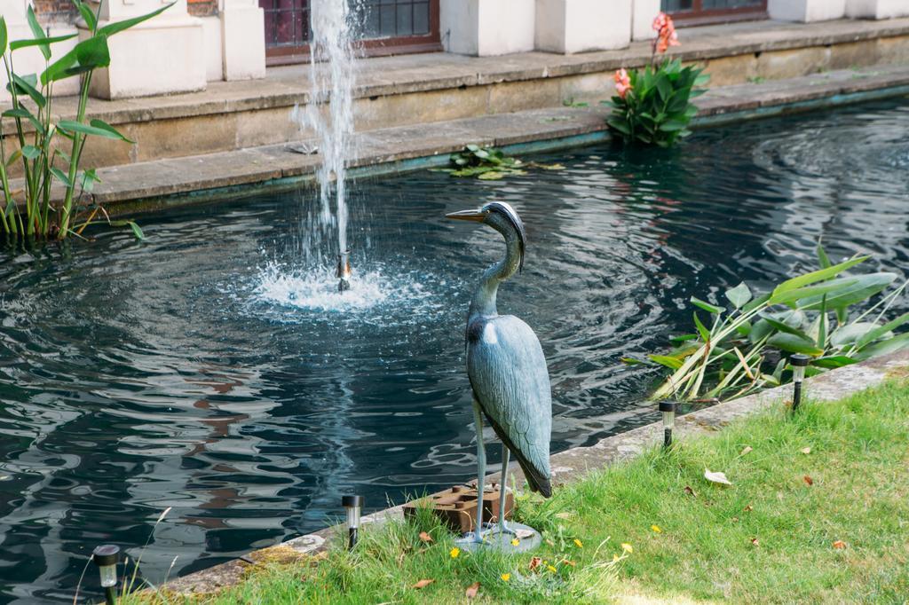 Auberge de jeunesse Safestay Kensington Holland Park (adults Only)